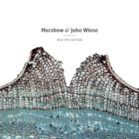 Merzbow & John Wiese "Multiplication" CD