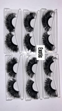 Image 1 of Exotic 