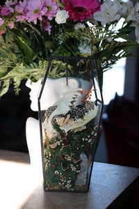 Image 2 of Coffin Terrarium 