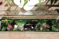 Image 2 of 1980s Cocunt Beetle 