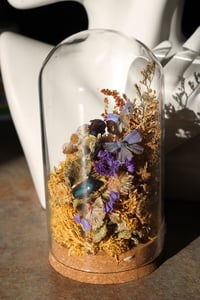 Image 2 of 𝖀𝖉𝖆𝖗𝖆 𝕯𝖎𝖑𝖊𝖈𝖙𝖆 𝕷𝖞𝖈𝖆𝖊𝖓𝖎𝖉𝖊𝖆