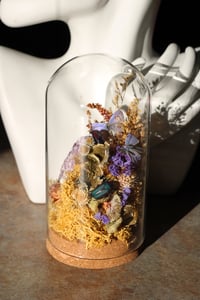 Image 3 of 𝖀𝖉𝖆𝖗𝖆 𝕯𝖎𝖑𝖊𝖈𝖙𝖆 𝕷𝖞𝖈𝖆𝖊𝖓𝖎𝖉𝖊𝖆