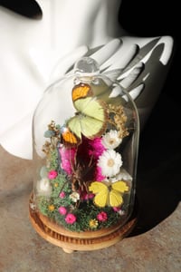 Image 3 of 𝕺𝖗𝖆𝖓𝖌𝖊 𝕿𝖎𝖕 𝖆𝖓𝖉 𝕲𝖗𝖆𝖘𝖘 𝖄𝖊𝖑𝖑𝖔𝖜