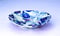 Image of Organic Serving Dish - Morning Glory Pattern