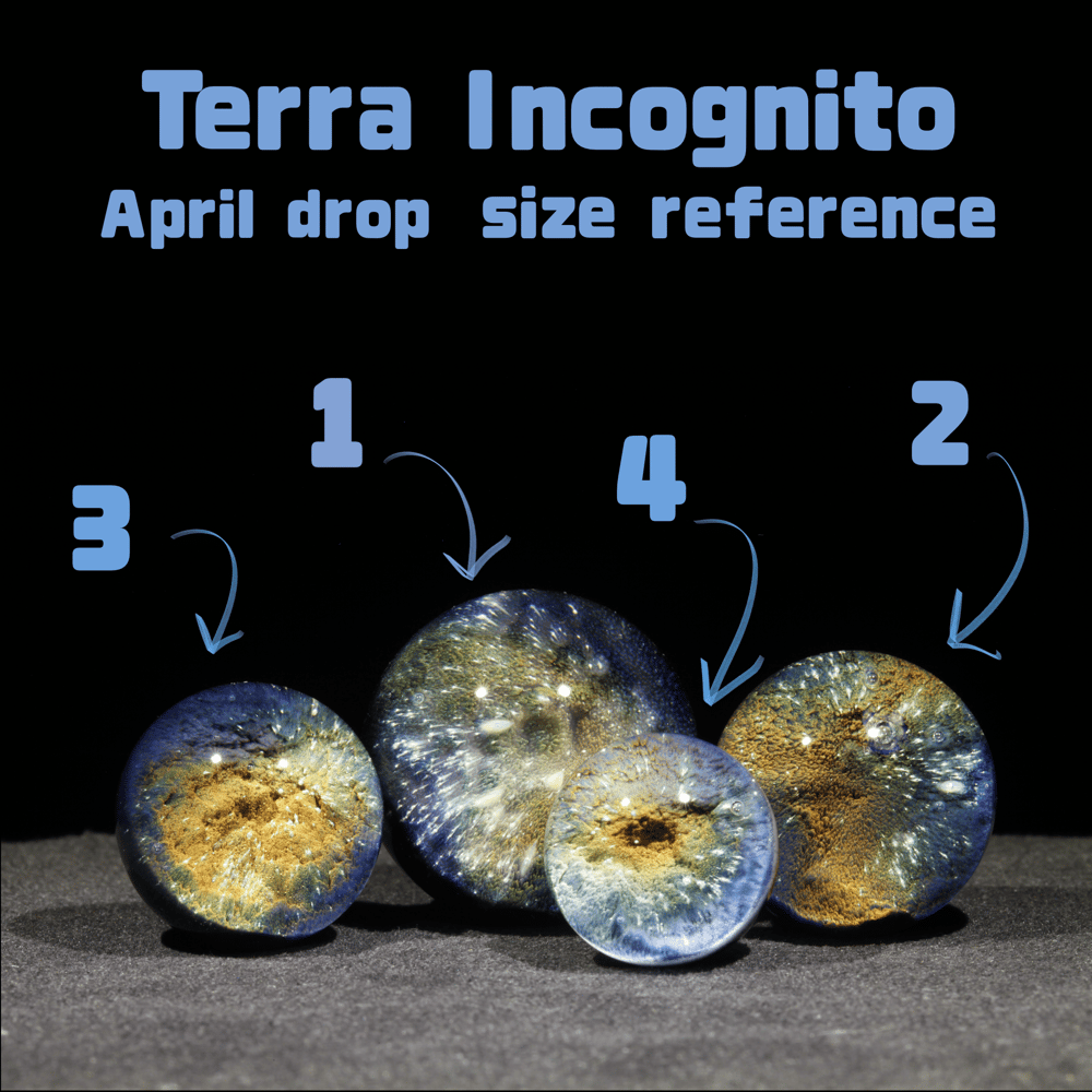 Image of Terra Incognito 2 - 2026