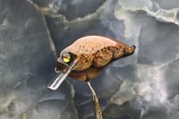 Image 1 of Custom Airbrushed S-CRANK 1.5 Squarebill Crankbait 7606