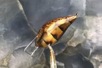 Image 4 of Custom Airbrushed S-CRANK 1.5 Squarebill Crankbait 7606