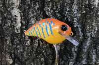 Image 3 of Custom Airbrushed S-CRANK 1.5 Squarebill Crankbait  8959
