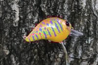 Image 5 of Custom Airbrushed S-CRANK 1.5 Squarebill Crankbait  8959