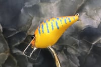 Image 11 of Custom Airbrushed S-CRANK 1.5 Squarebill Crankbait  8959