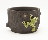 Image 1 of Tree Frog planter