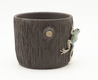 Image 2 of Tree Frog planter 2