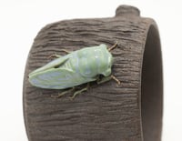 Image 4 of Cicada planter 