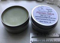 Image 2 of Plantain Herb Salve, 1 oz Tin, Organic Ingredients
