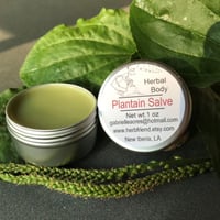 Image 3 of Plantain Herb Salve, 1 oz Tin, Organic Ingredients