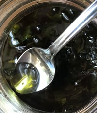 Image 5 of Plantain Herb Salve, 1 oz Tin, Organic Ingredients