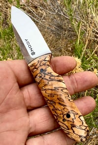 Image 5 of Compadre #001