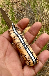 Image 3 of Compadre #001