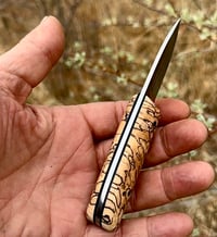 Image 2 of Compadre #001