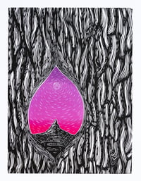Image 1 of Tree Bark
