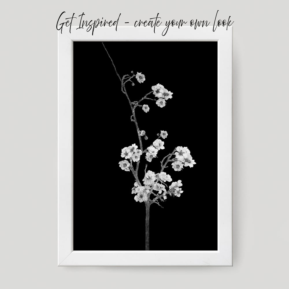 Image of Balck and White Cherry Blossom