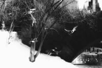 "Pond" Print, 2 Sizes