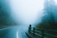 "Foggy Green" Photo Print, 2 sizes