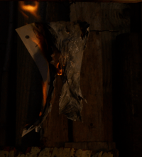 Image 1 of BURNT #11