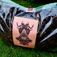 Image 2 of The Soil Duffle - 3kg LIVE