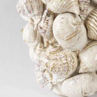 Image 3 of Coastal Shell Vessel