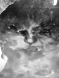 (yumi)(no)(MONOGURUI)(ii):(YAMAUEREDA)(digital copy)