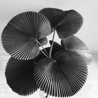 (yumi)(no)(MONOGURUI)(ii):(U-YAMABUSHI)(digital copy)