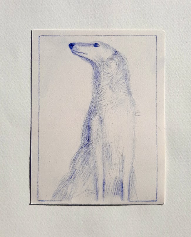 The Borzoi 2 ~ Original drawing 
