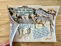 Image 3 of Loculus #9 By Heart – Robert Petersen