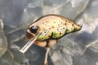 Image 4 of Custom Airbrushed S-CRANK 1.5 Squarebill Crankbait 9614