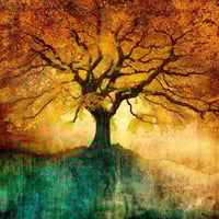 MARK MUNROE - PRESTON - 'NEW DAWNING' - LTD. ED. PRINT ON ALUMINIUM