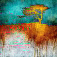 MARK MUNROE-PRESTON - 'WINDBLOWN' - LTD. ED. PRINT ON ALUMINIUM