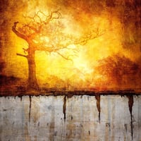 MARK MUNROE-PRESTON - 'ANCIENT DAWN'  - LTD ED. PRINT ON ALUMINIUM