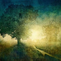 MARK MUNROE-PRESTON - 'OLD MEADOWS' - LTD. ED. PRINT ON ALUMINIUM