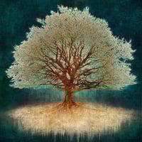 MARK MUNROE-PRESTON - 'UPLIFTING' - LTD ED. PRINT ON ALUMINIUM