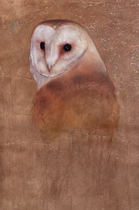 KAREN LIGHTFOOT - 'OWL' - ORIGINAL PAINTING