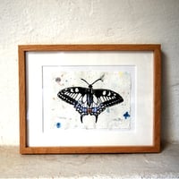 Image 3 of Segelfalter / Linolschnitt