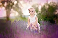 Image 4 of Lavender field family mini session Deposit for 2026