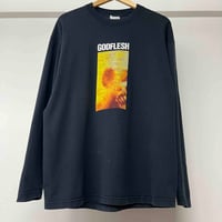 Image 1 of Godflesh 'Hymns' LS 2001 L