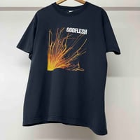 Image 1 of Godflesh 'Hymns' 2001 L