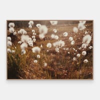 Image 1 of 'Ulla'  – Giclée-trykk på syrefritt kunstpapir