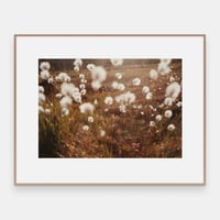 Image 2 of 'Ulla'  – Giclée-trykk på syrefritt kunstpapir