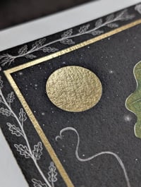 Image 3 of Acorn wisdom