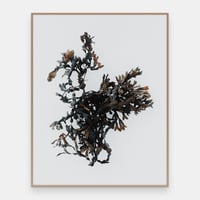 Image 1 of Tang En