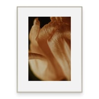 Image 2 of Palitun